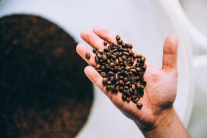 A hand holding some of our fresh roasted beans.
