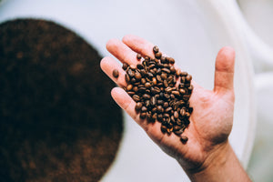 A hand holding some of our fresh roasted beans. 
